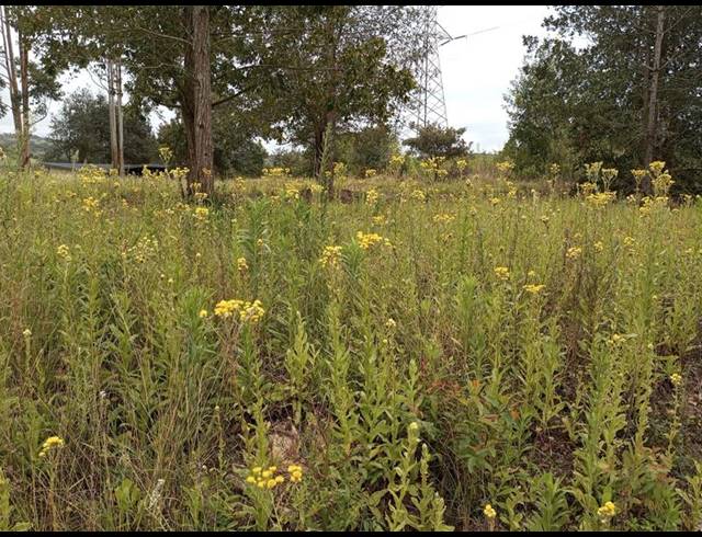 LAND FOR SALE IN MARGATE